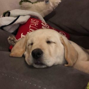 Meet your Posher, Rob